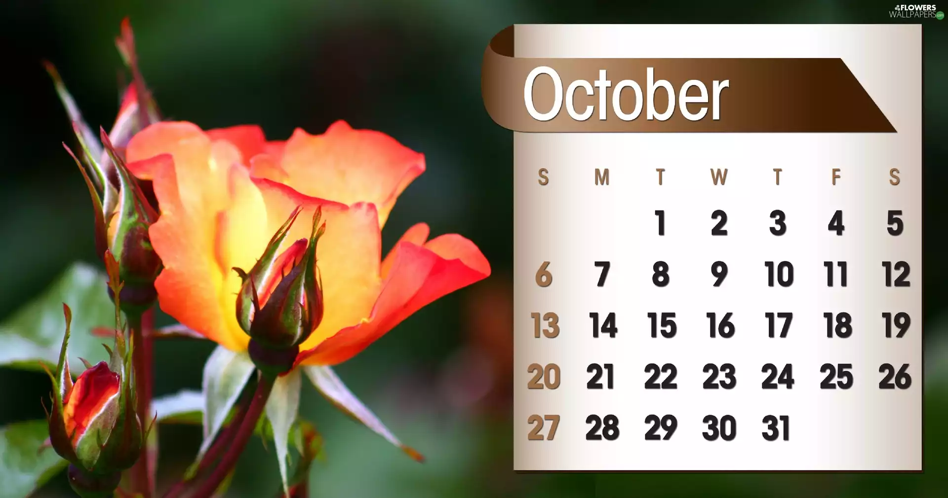 Calendar, october, 2013, roses