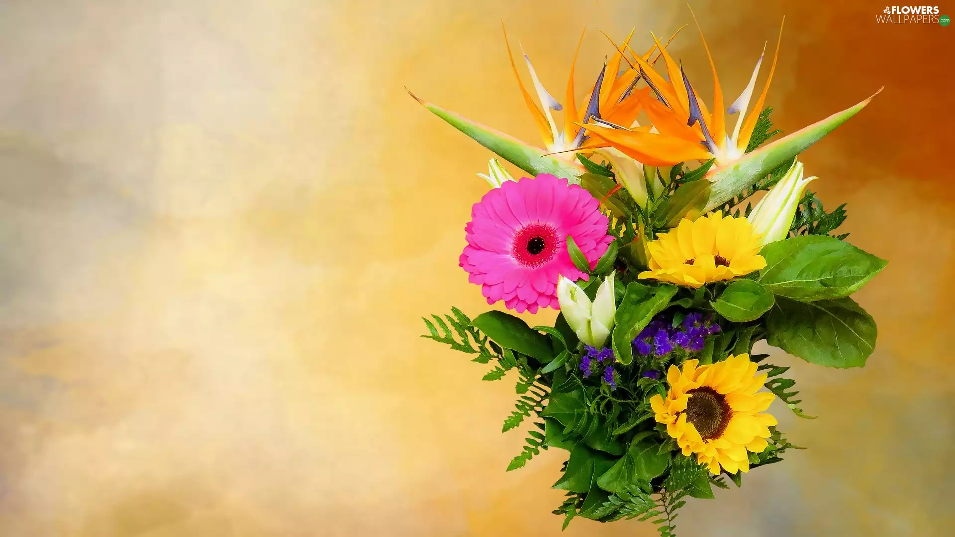 decorative Sunflowers, bouquet, Yellow, Gerbera, Flowers, Strelitzia, background