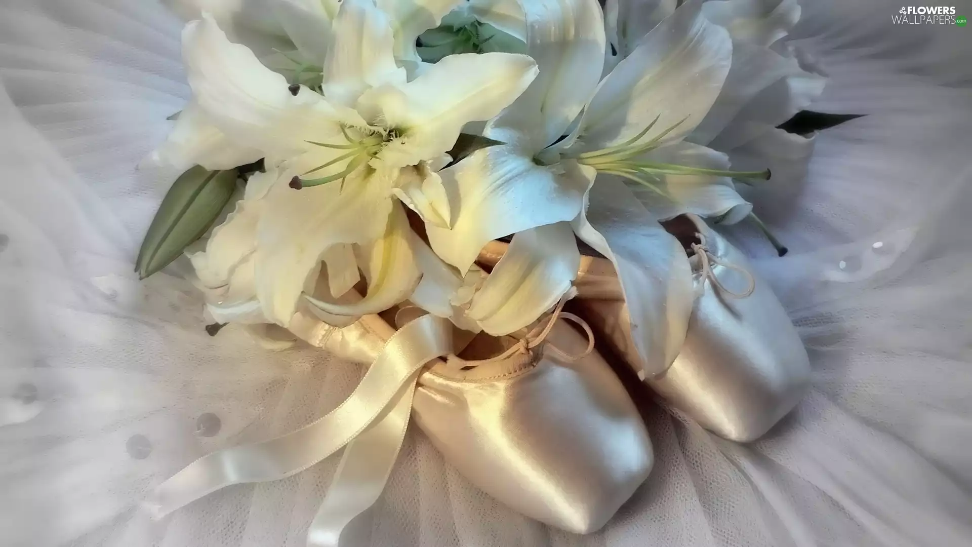 Ballerinas, White, lilies