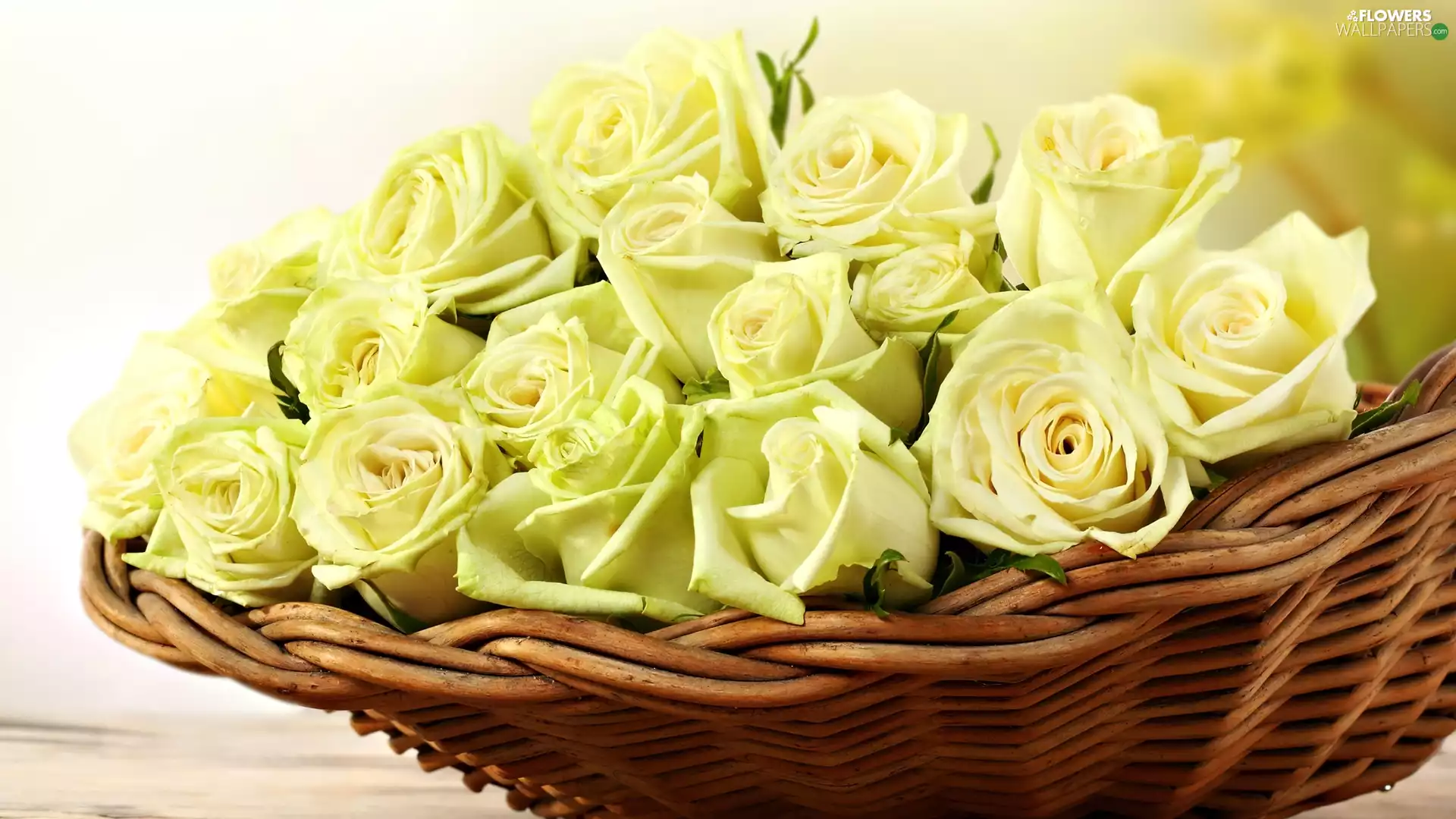 basket, Yellow, roses