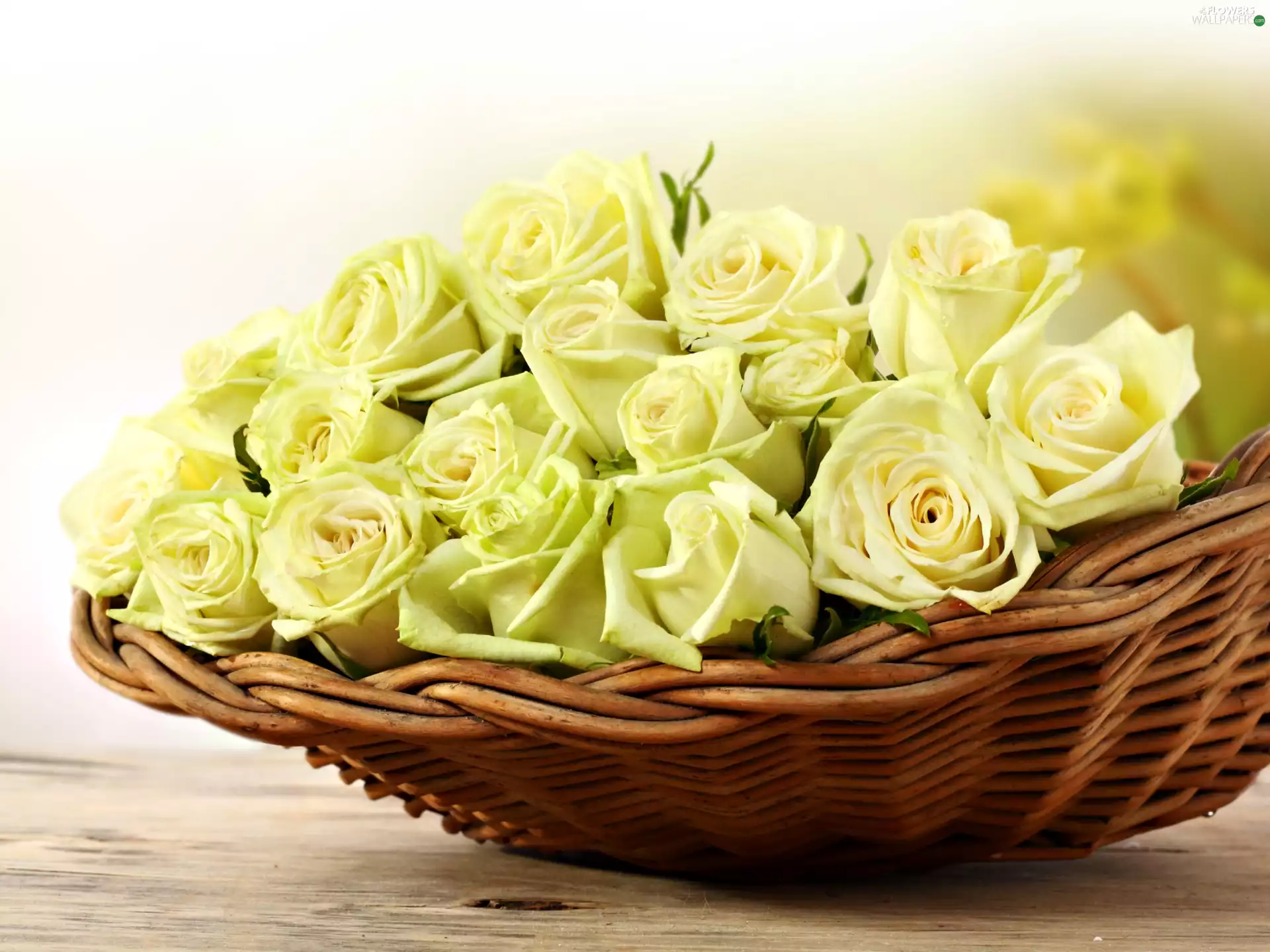 basket, Yellow, roses