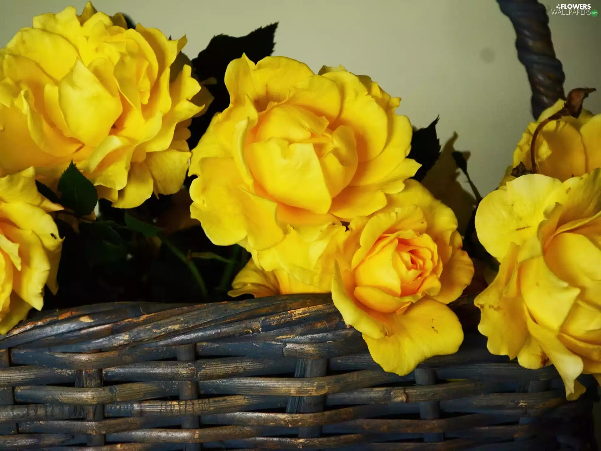 Yellow, wicker, basket, roses