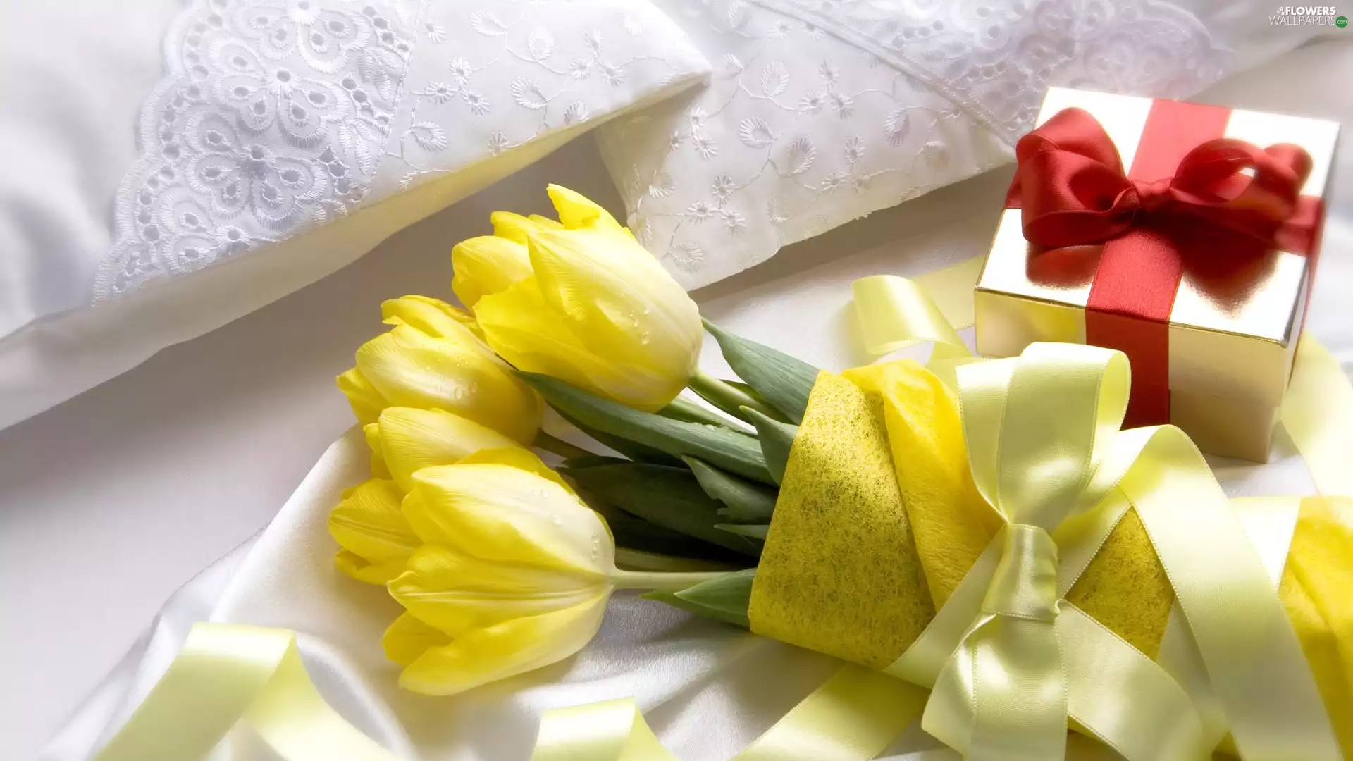 Yellow, Present, Bedding, Tulips