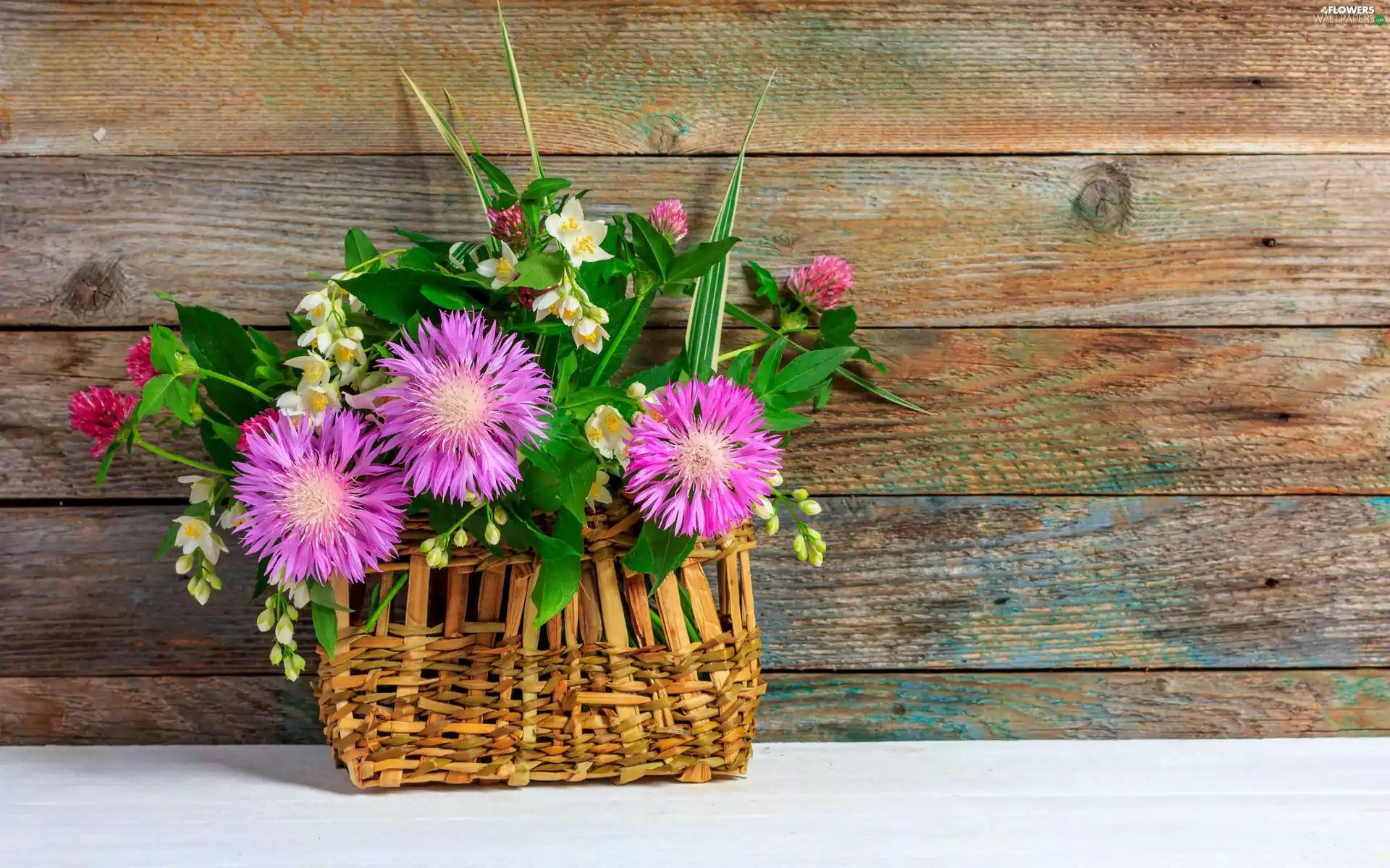 cornflowers, trefoil, basket, board, bouquet, Mock Orange