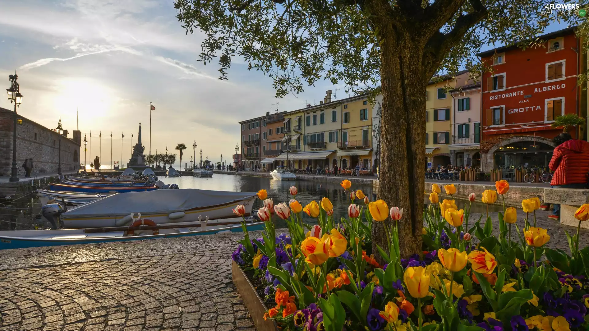 trees, Houses, Italy, Gulf, Portofino, Tulips, Flowers, Boats