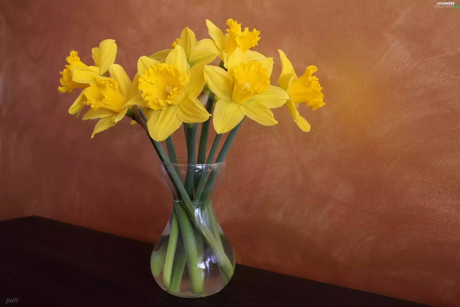 Daffodils, bouquet