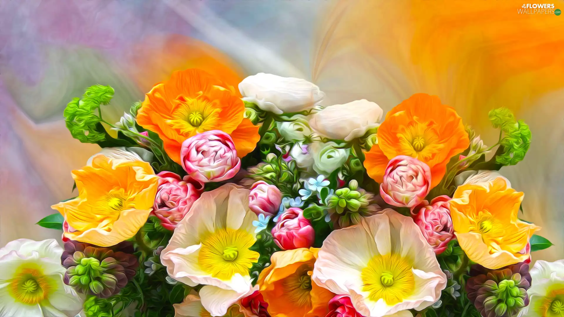 Flowers, papavers, graphics, bouquet