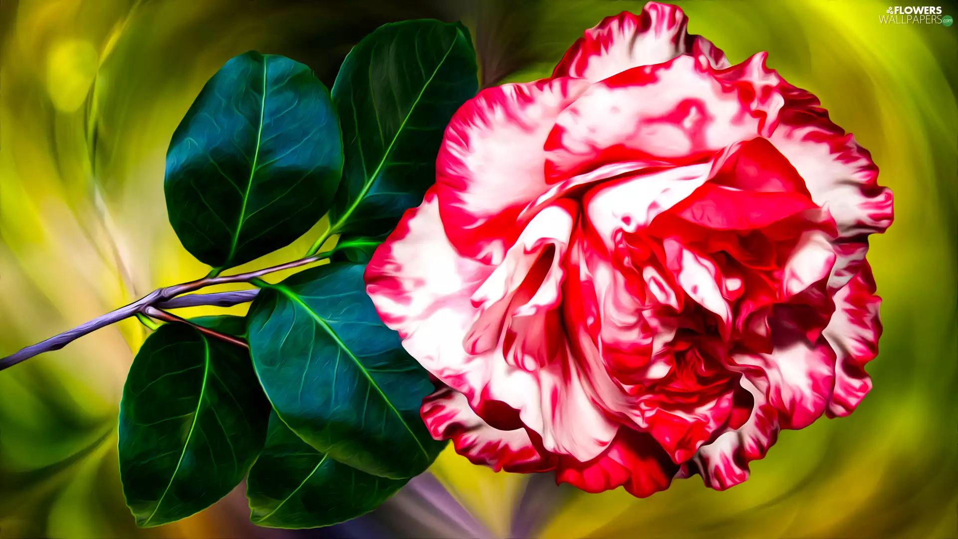 graphics, Colourfull Flowers, camellia