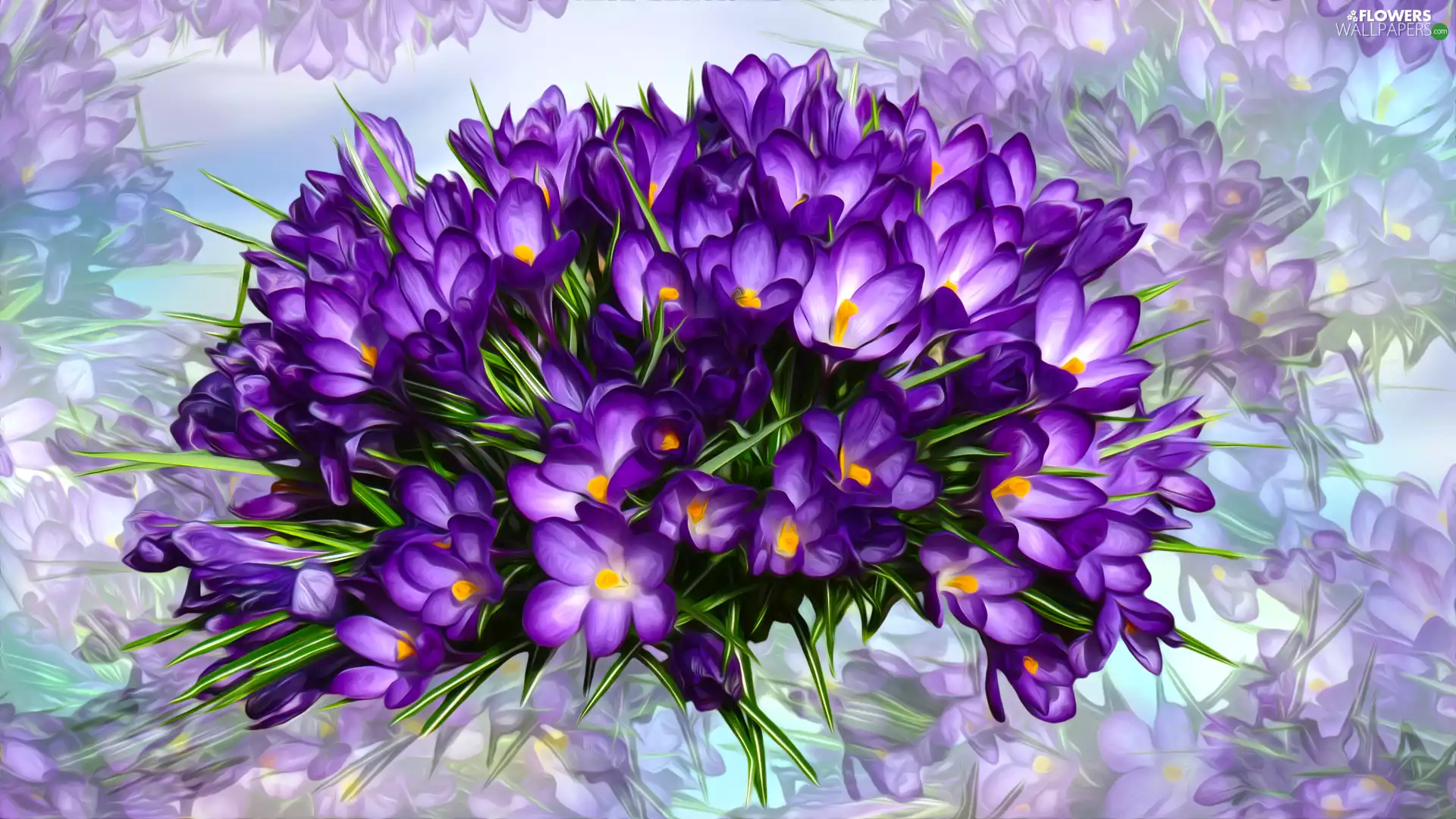Flowers, purple, graphics, crocuses