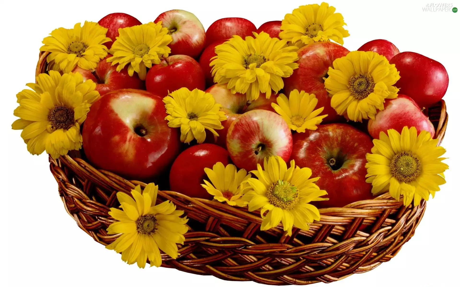 basket, Yellow, daisy, apples