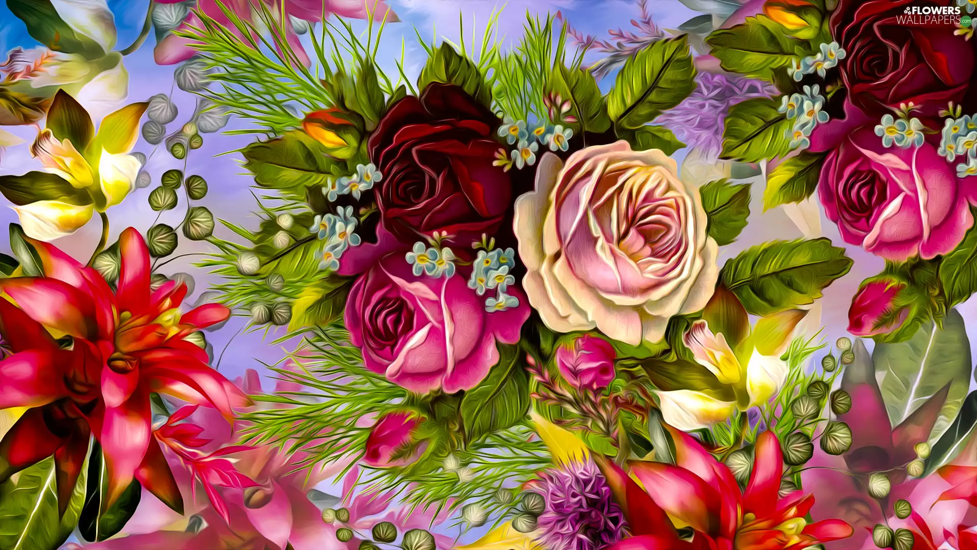 graphics, Different colored, roses, Flowers