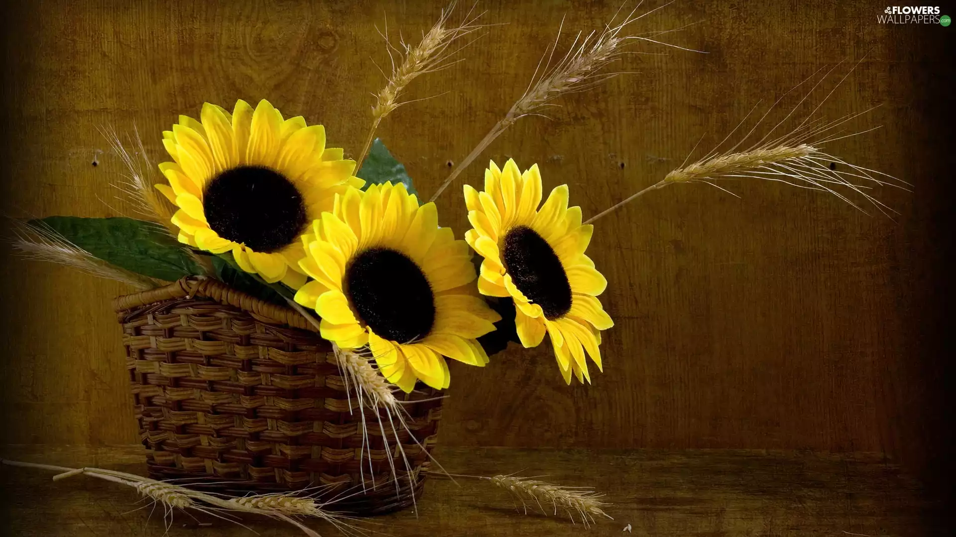 Ears, cereals, basket, Nice sunflowers, wicker