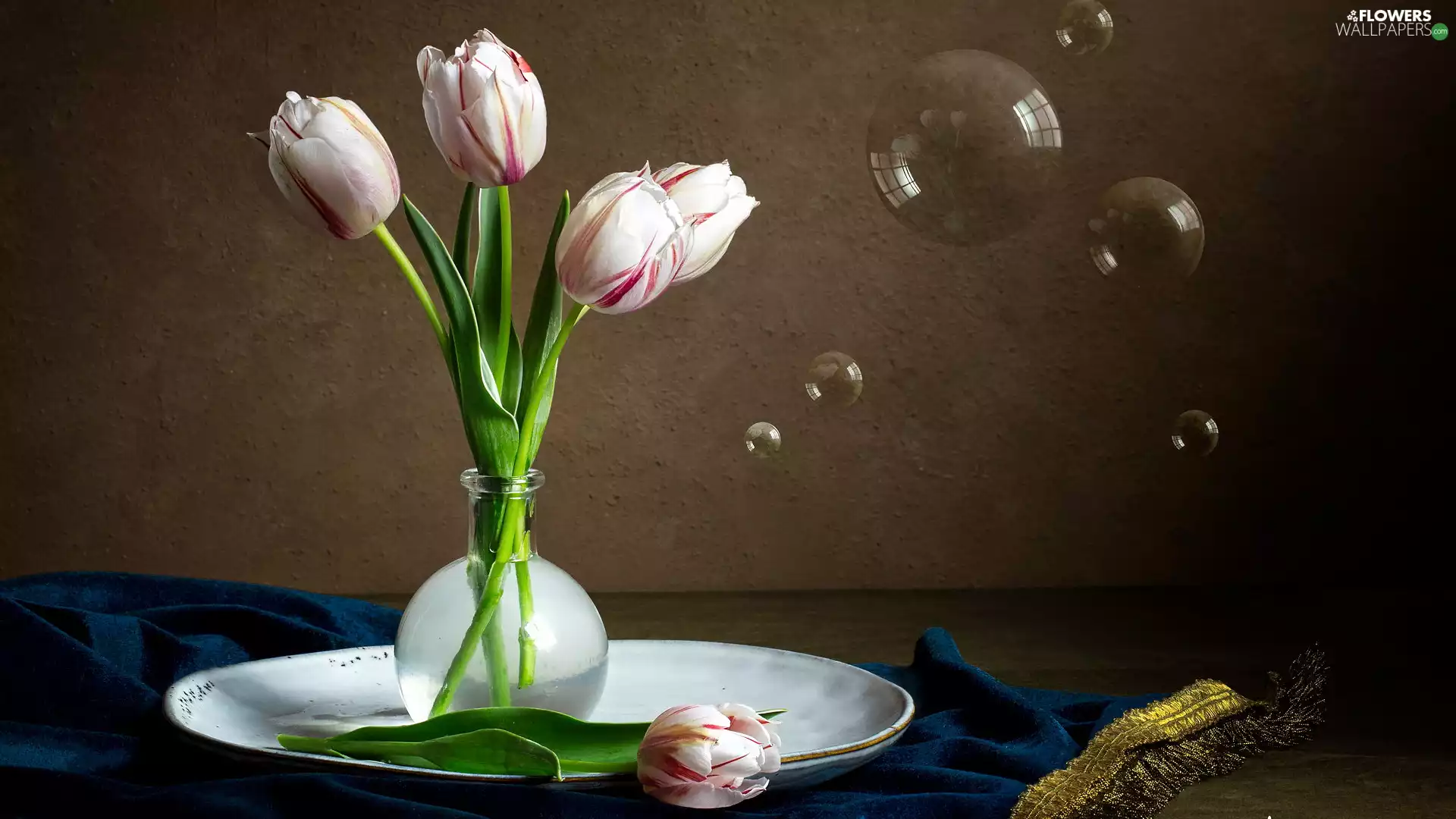 vase, Tulips, interesting eyes, composition, plate, glass