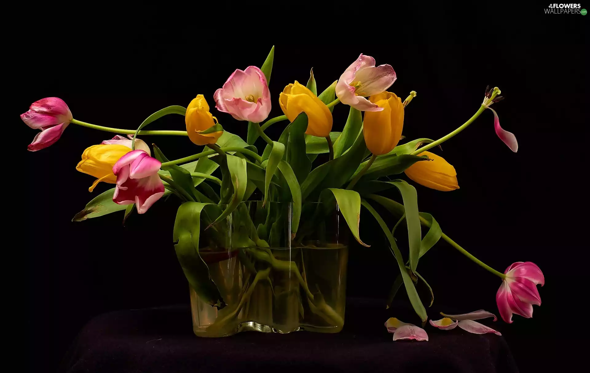 bouquet, Tulips, Vase, Flowers