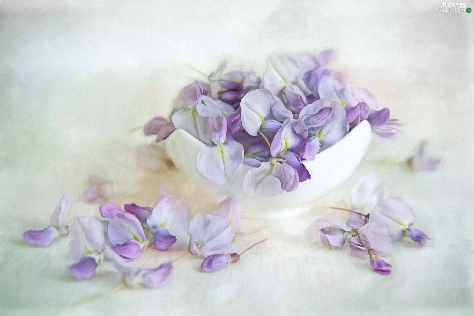 bowl, wistaria, graphics, Flowers