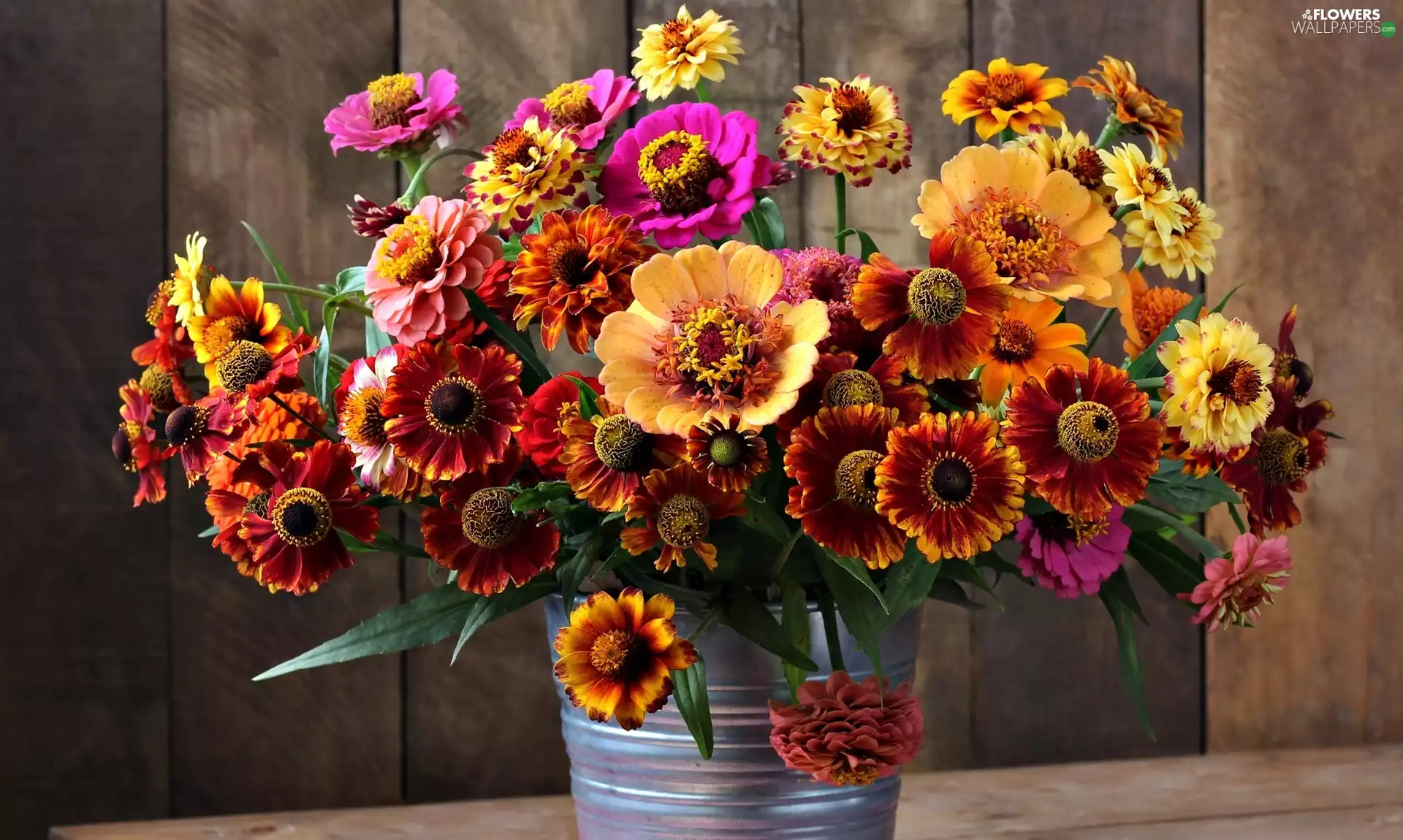 Helenium, color, Bucket, Flowers, bouquet, Zinnias, boarding