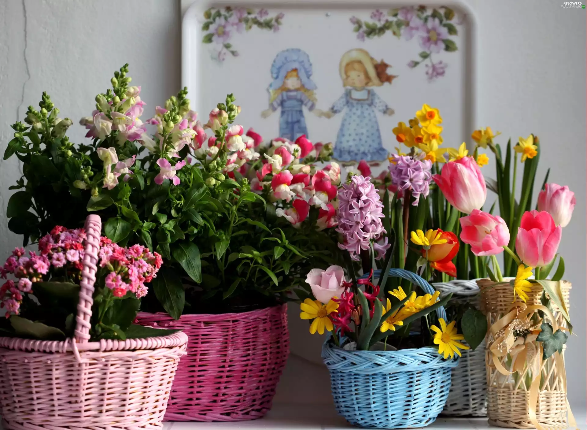 color, Bouquets, flowers, Baskets