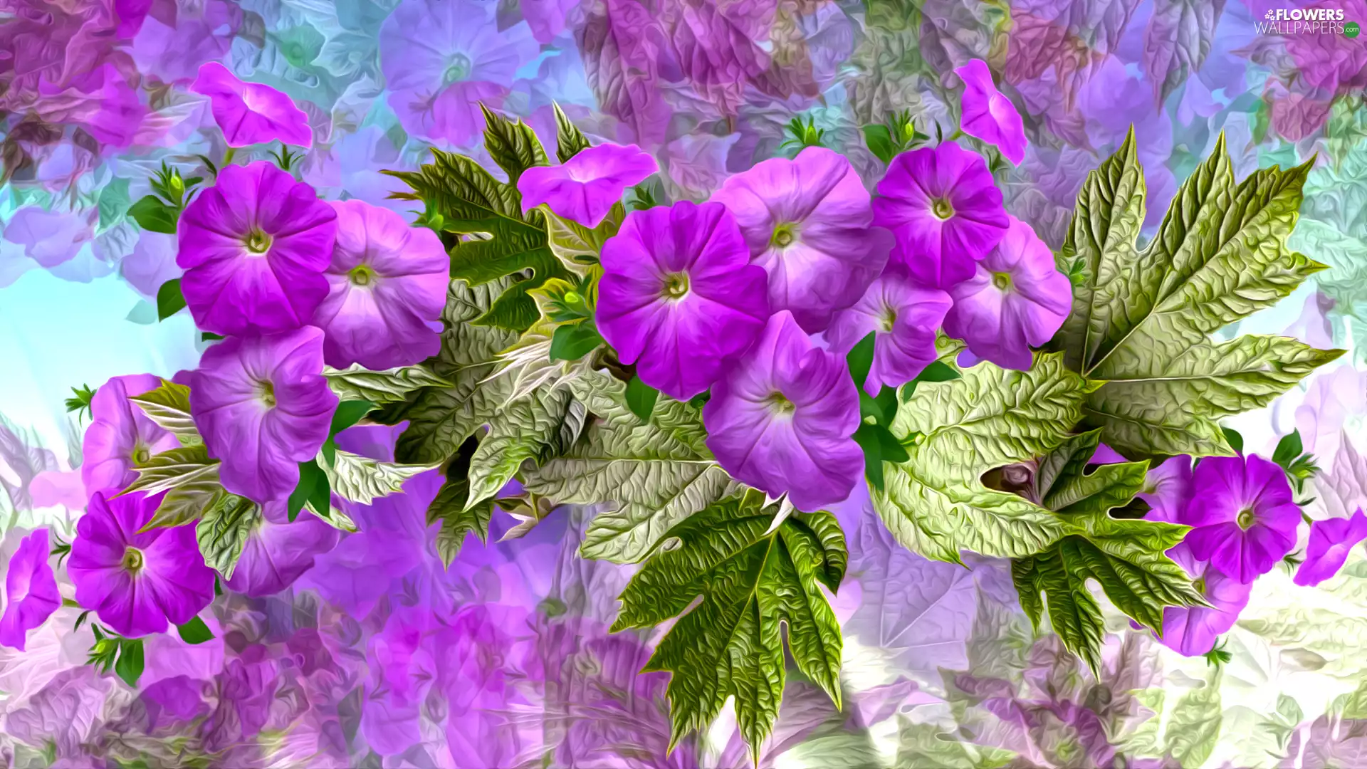graphics, petunias, purple, Flowers