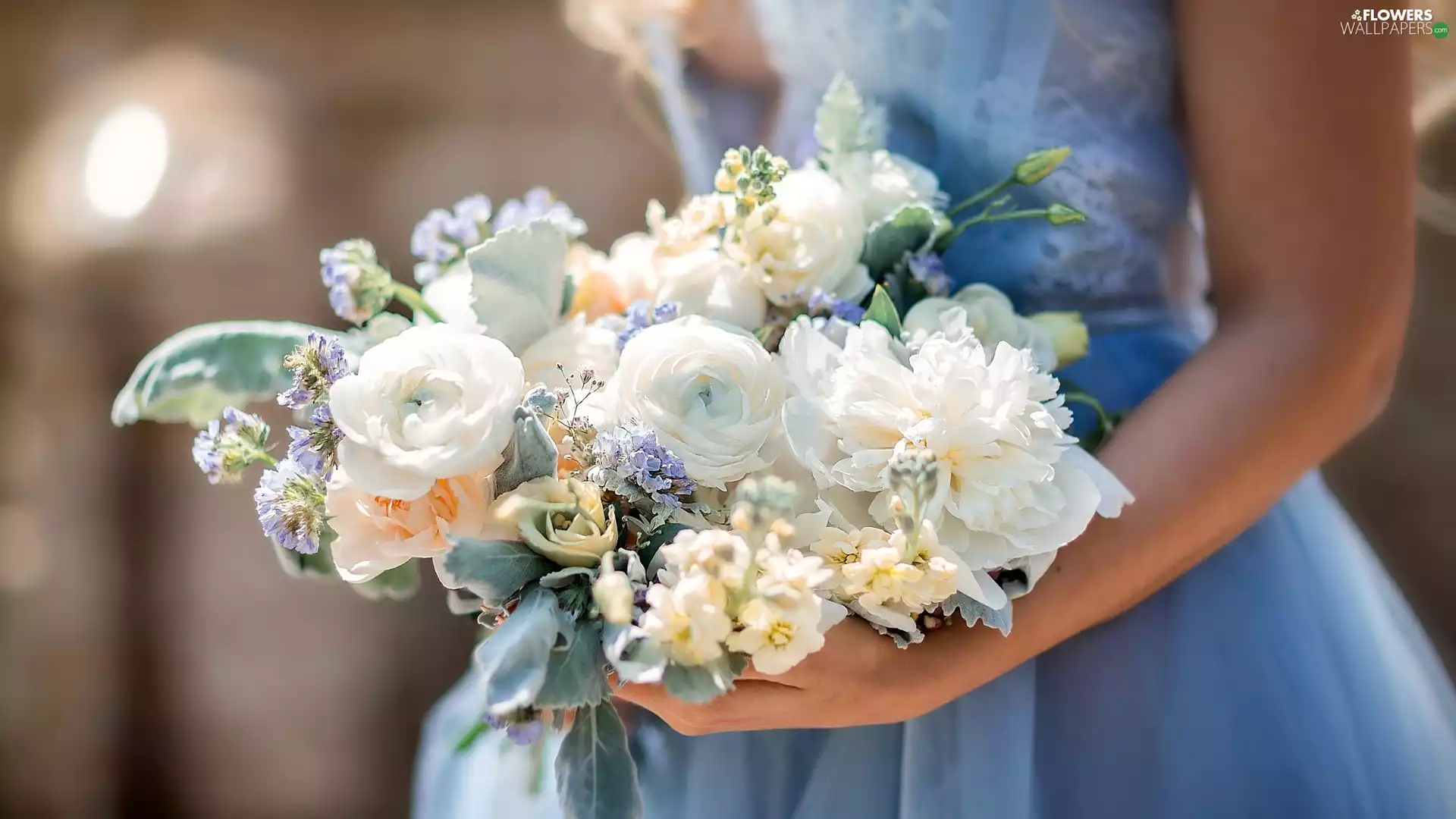 Women, Bouquet of Flowers, blur, hands