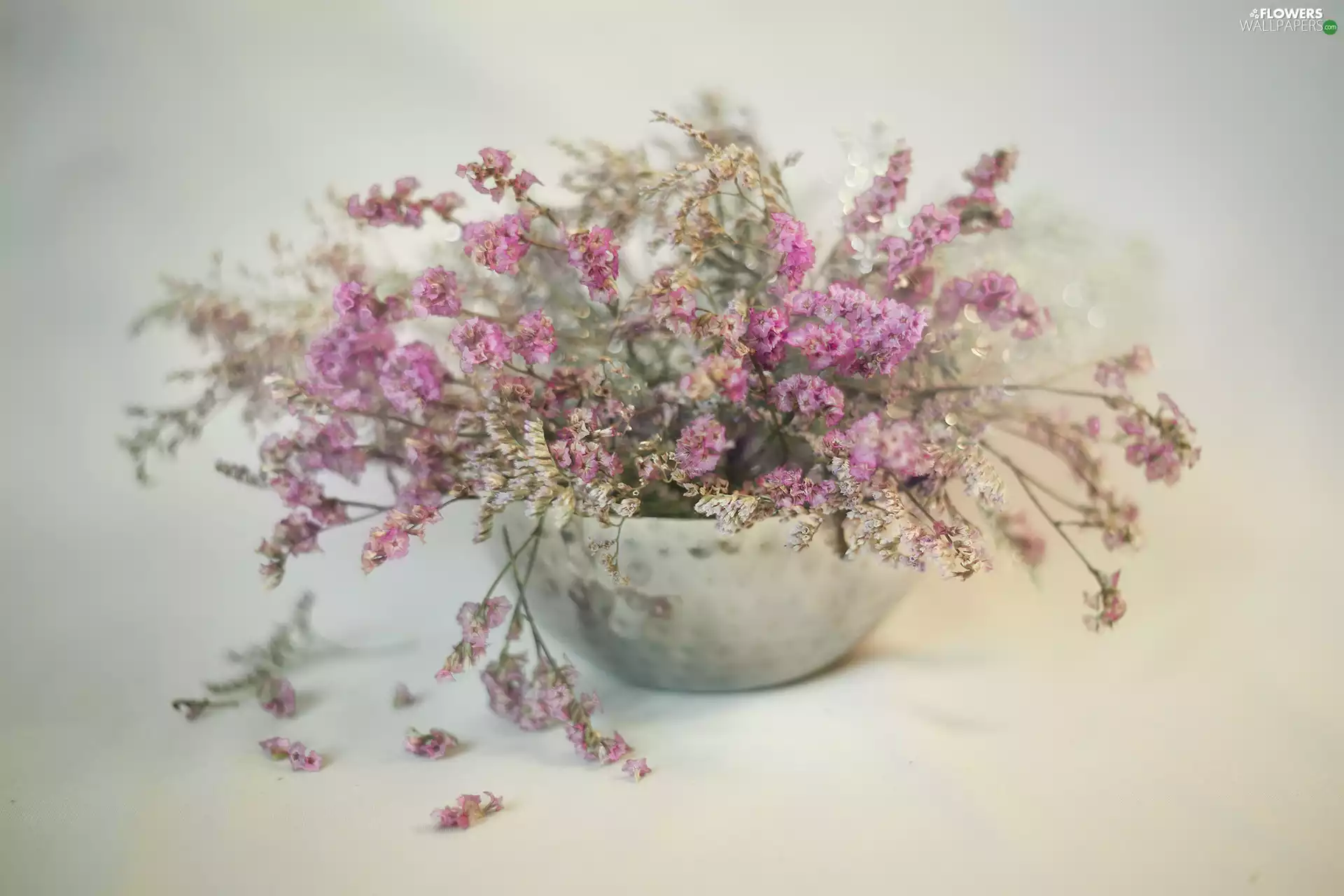 bouquet, flowers, Sea Lavender, Dry