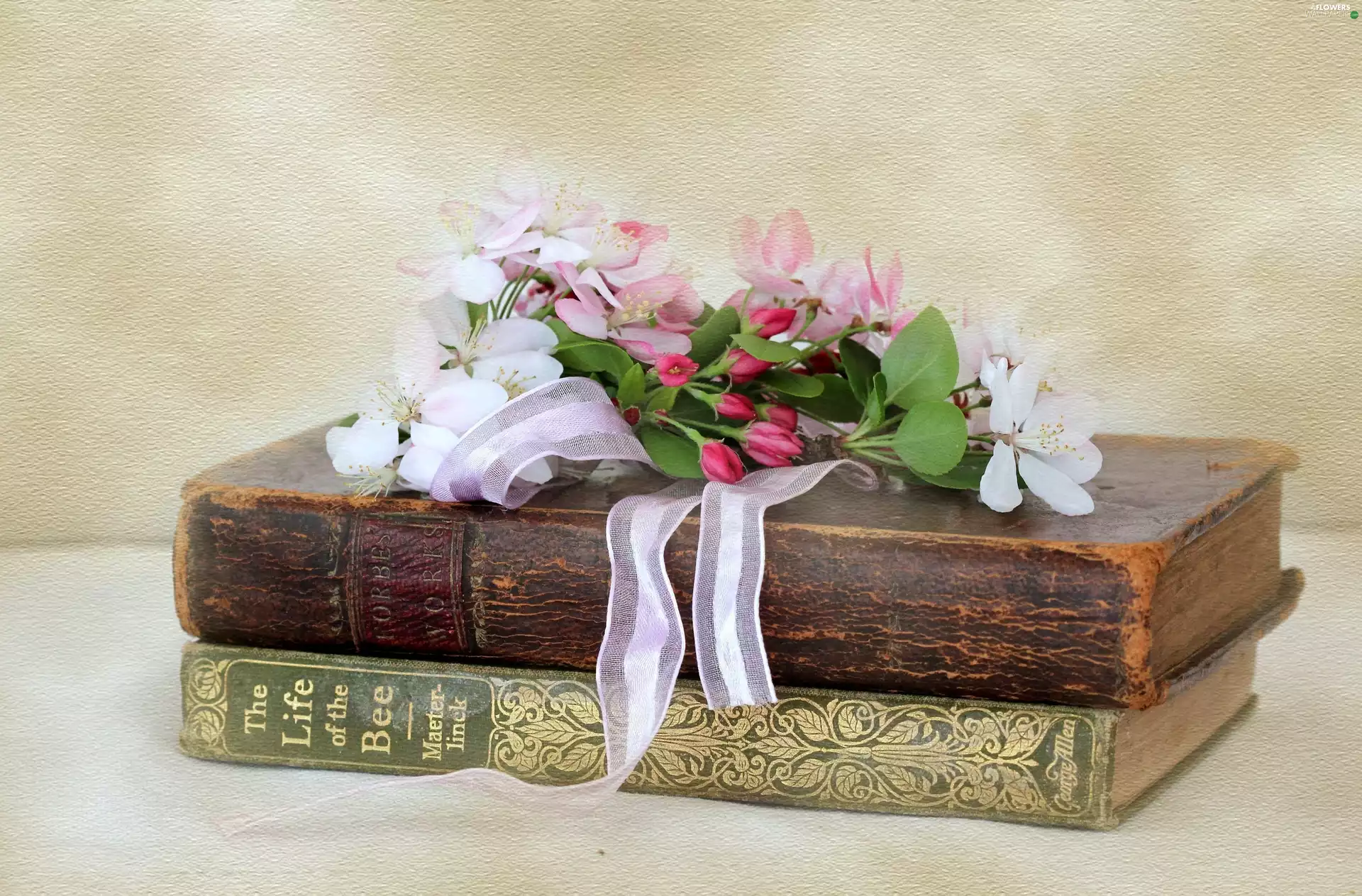 Books, small bunch, flowers