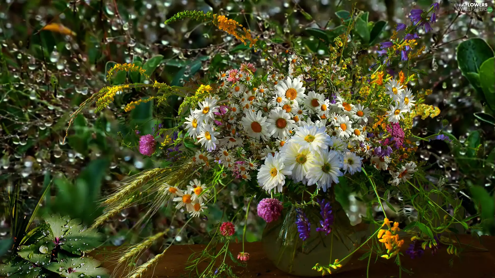 Wildflowers, bouquet, drops, Flowers