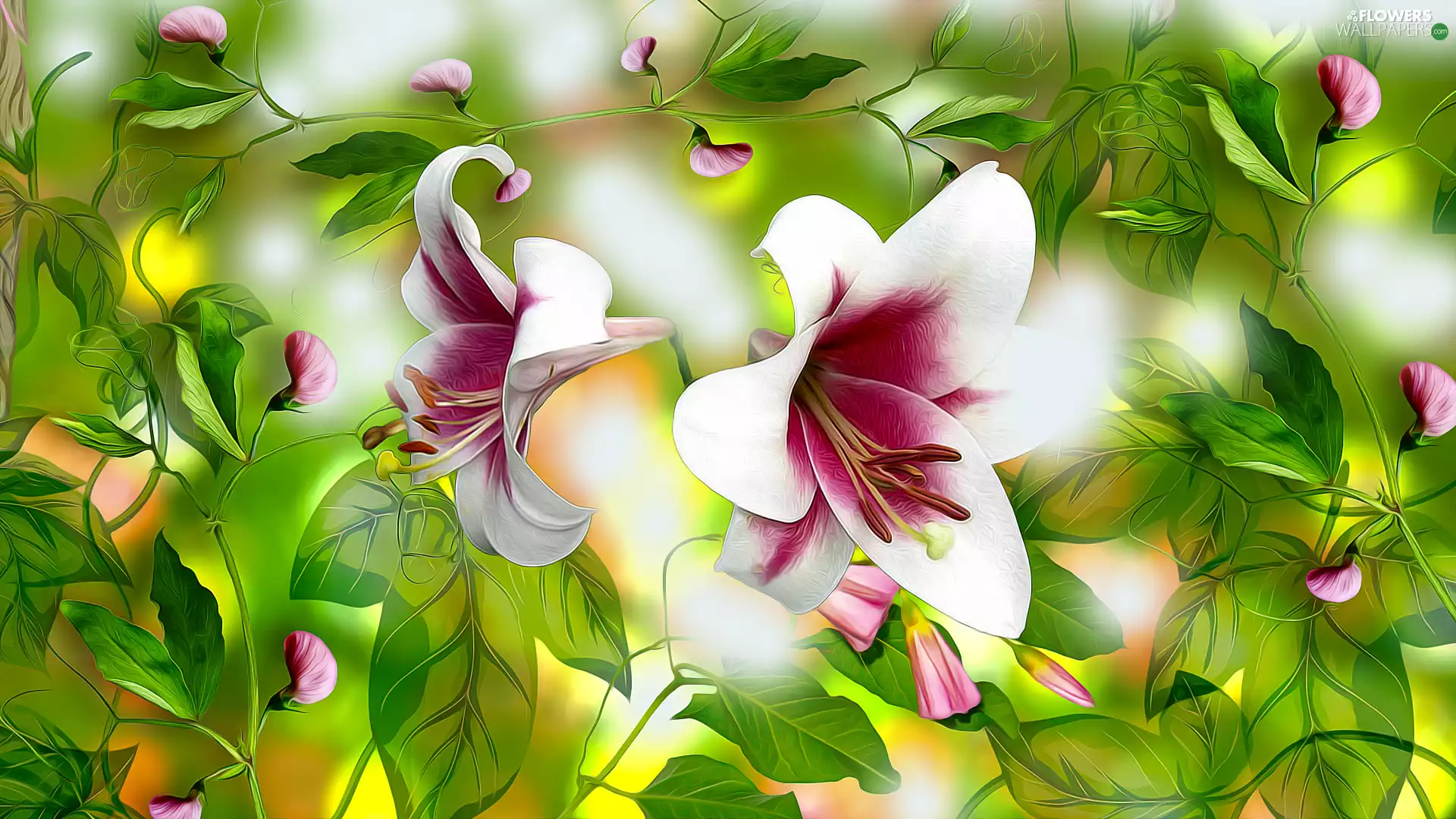Flowers, Fragrant Peas, graphics, lilies