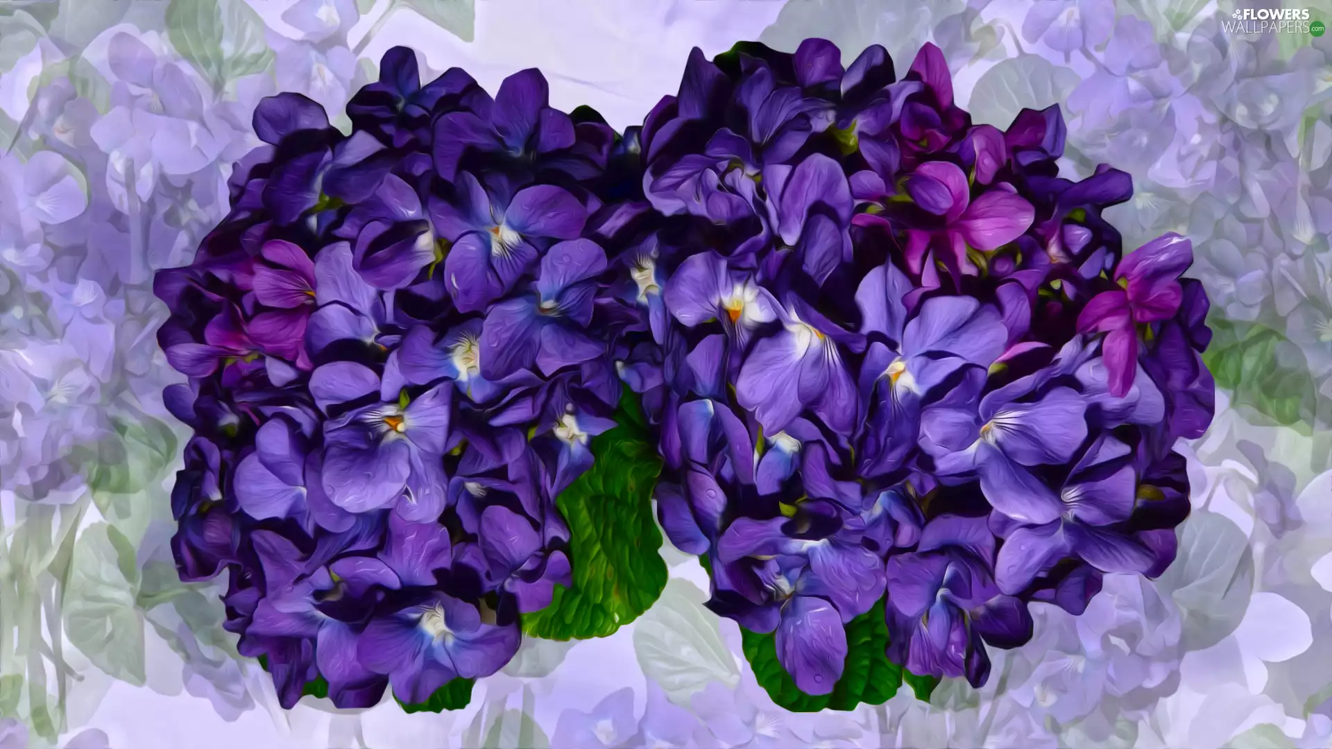 bouquets, fragrant violets, graphics, Flowers