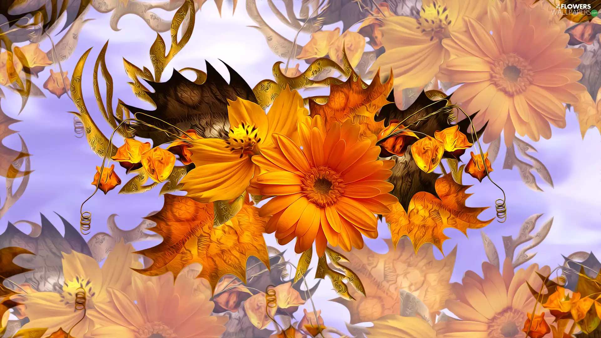 Flowers, Leaf, graphics, Gerbera