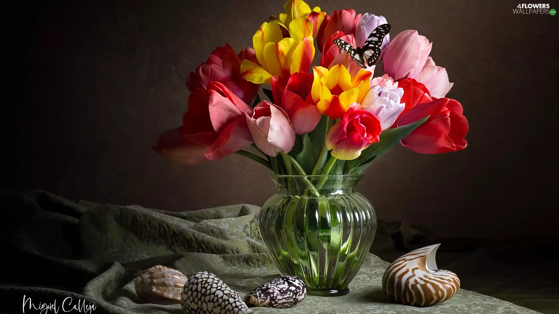 Vase, Tulips, Shells, glass, color, butterfly, composition