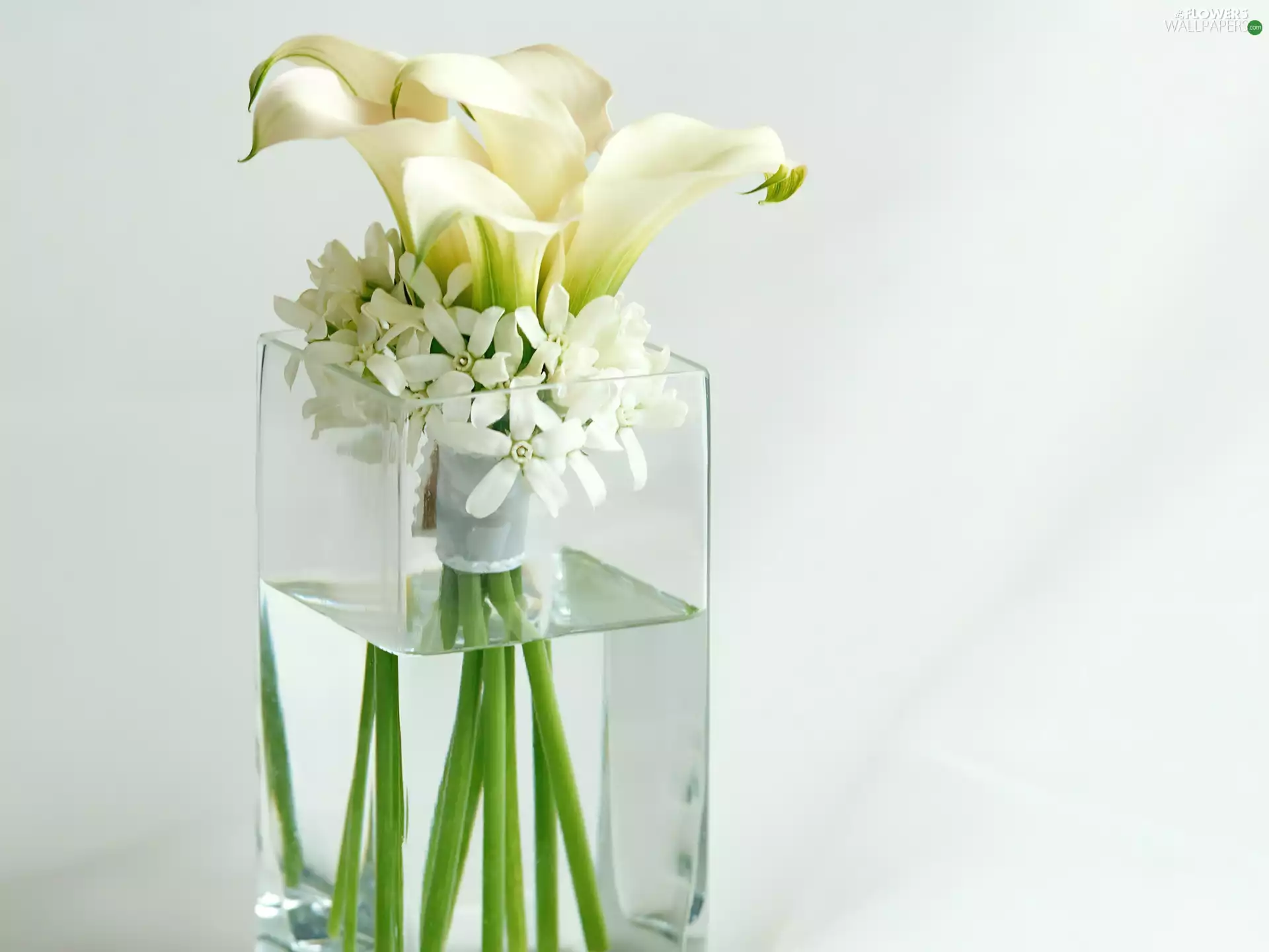 glass, Vase, white, flowers, composition