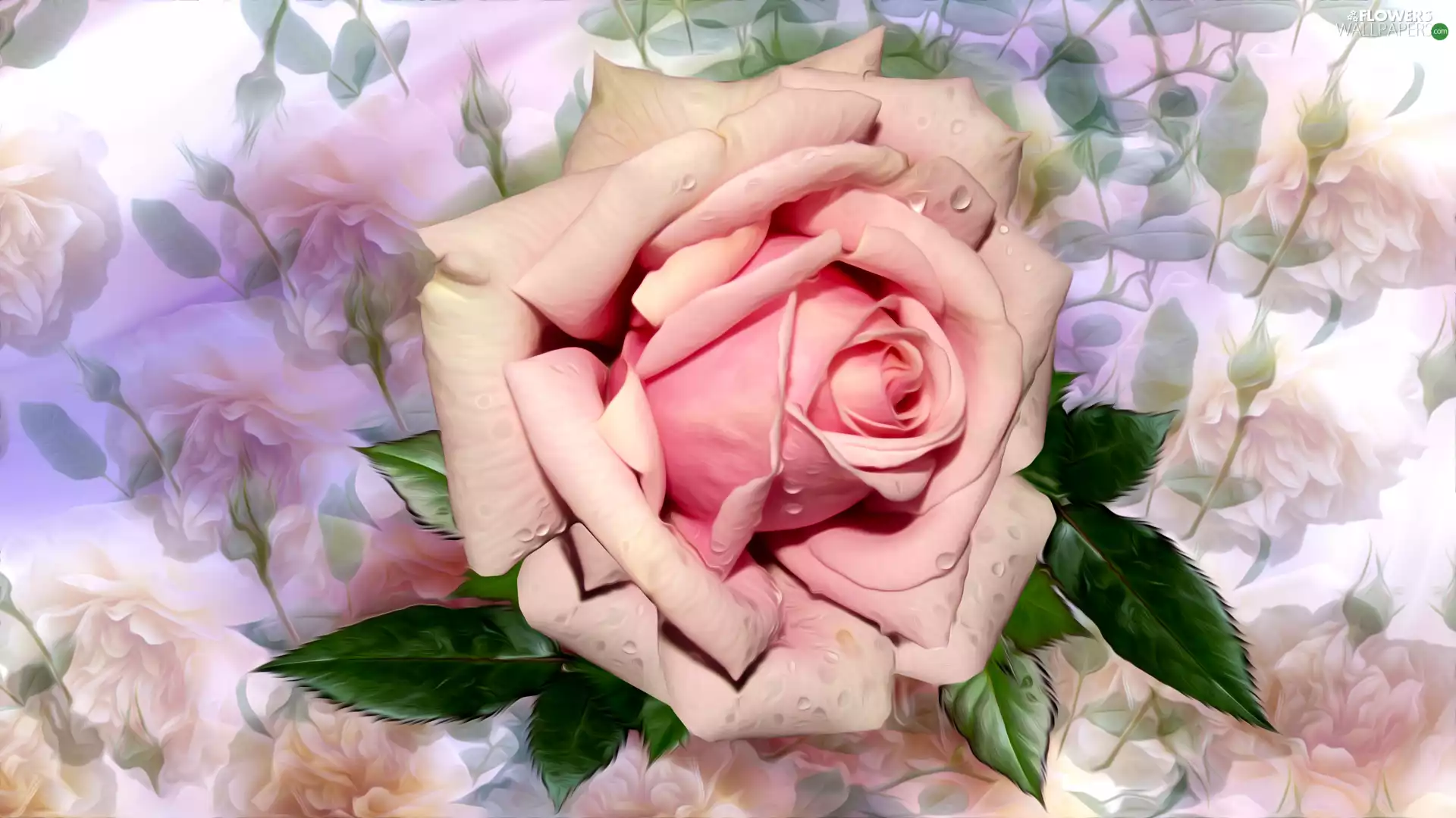 rose, graphics, Colorful Background, drops
