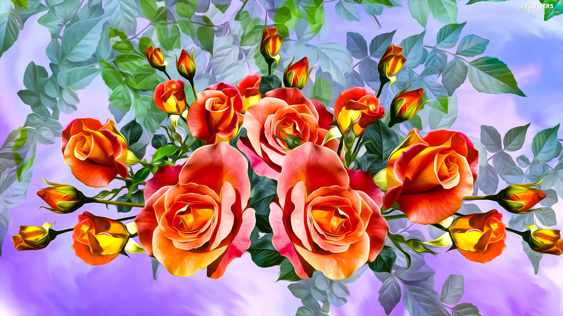 Buds, graphics, developed, roses, Flowers