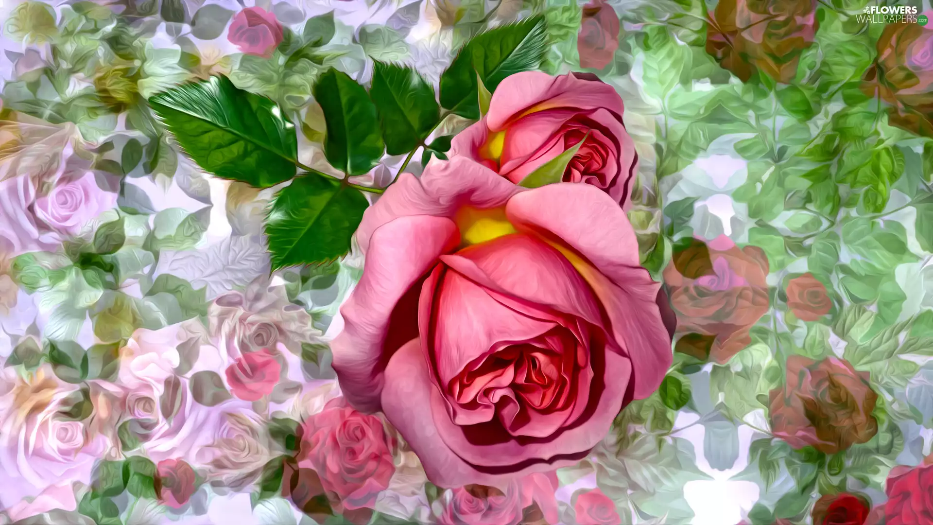rose, graphics, Flowers, roses, Pink