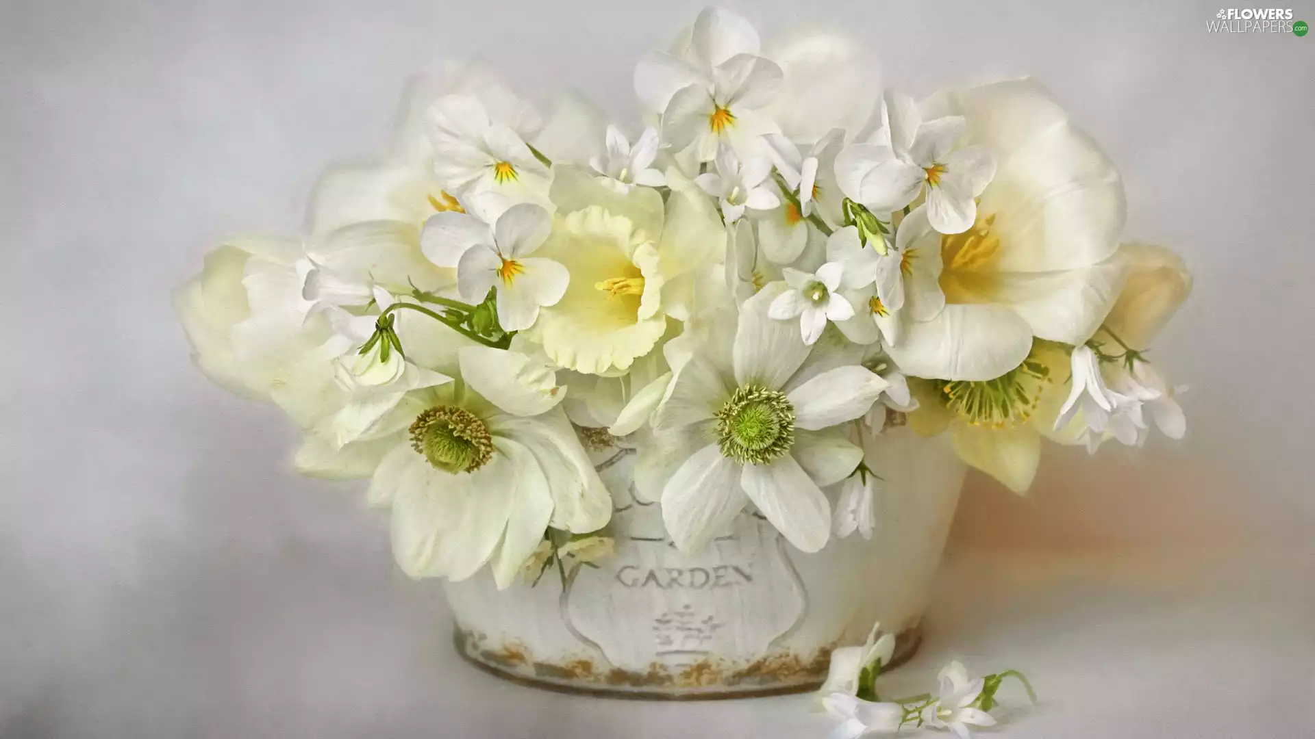 pot, graphics, Flowers, bouquet, White