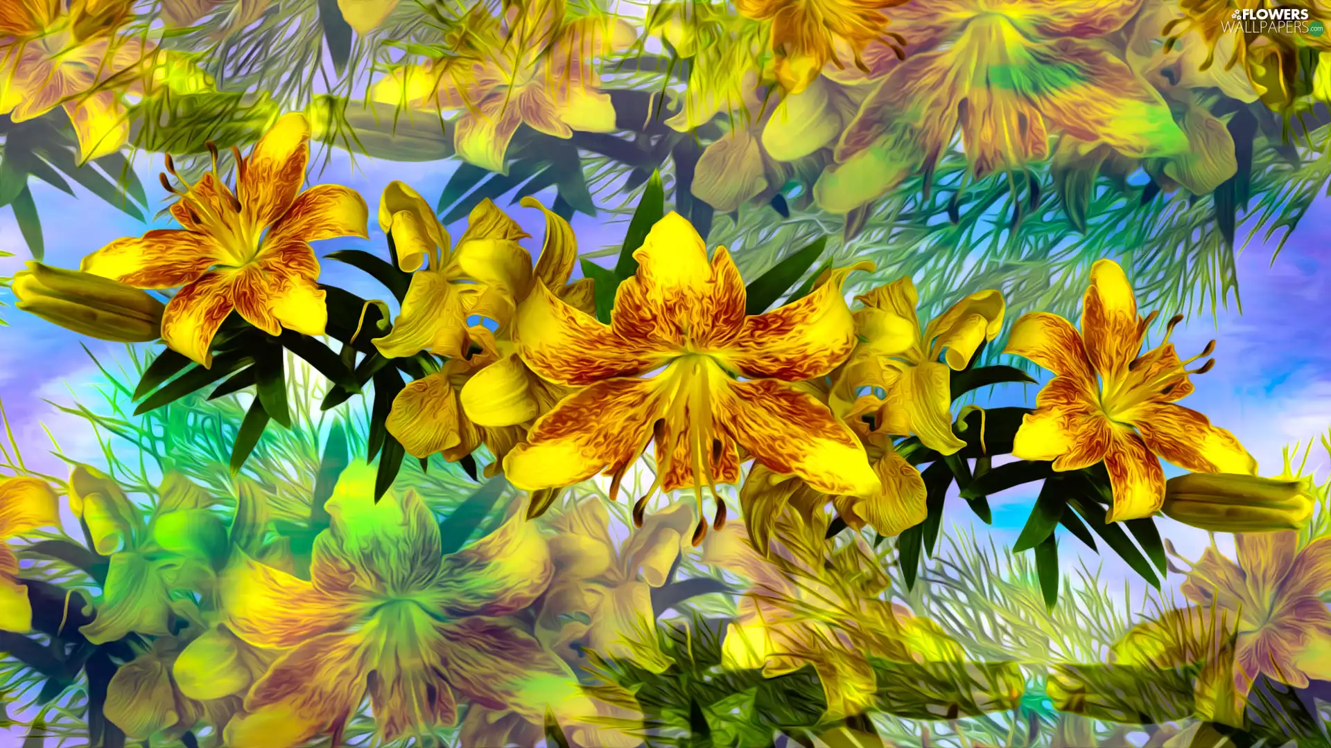 graphics, Yellow, lilies