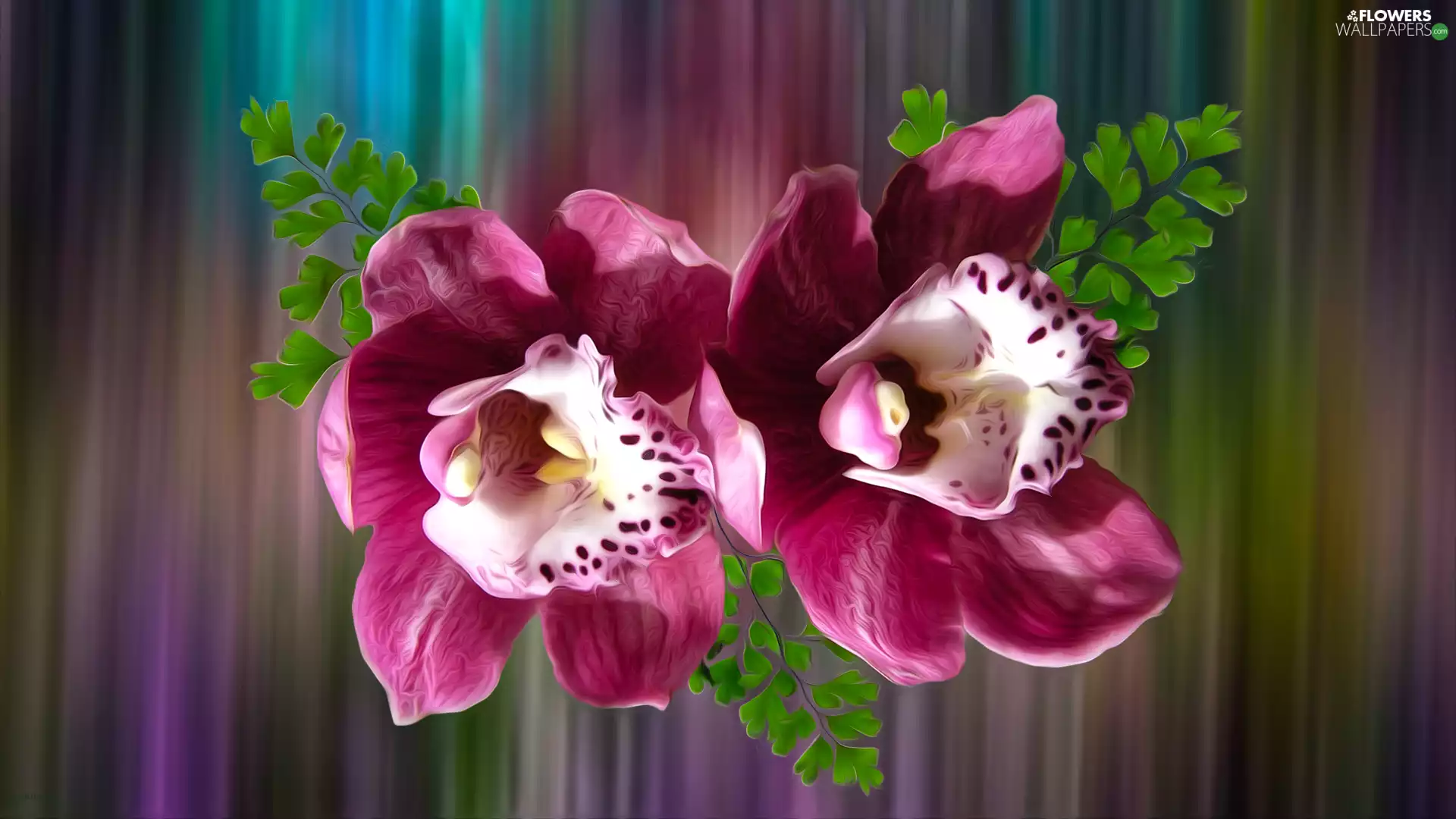 graphics, Flowers, orchids