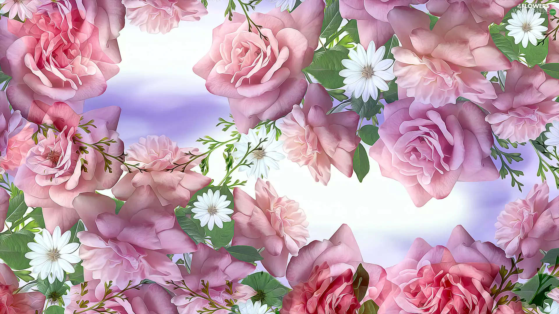 roses, Flowers, flowers, graphics, White, Pink