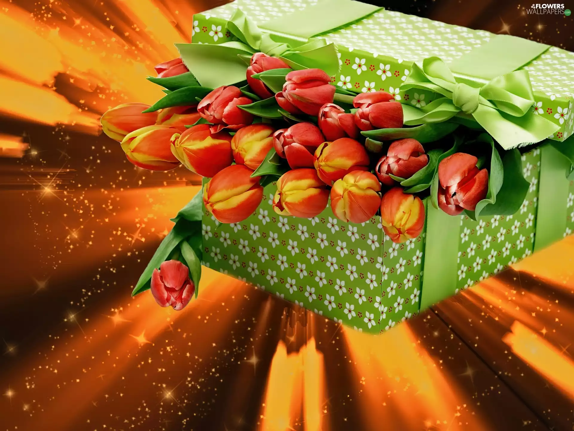 graphics, Tulips, Present