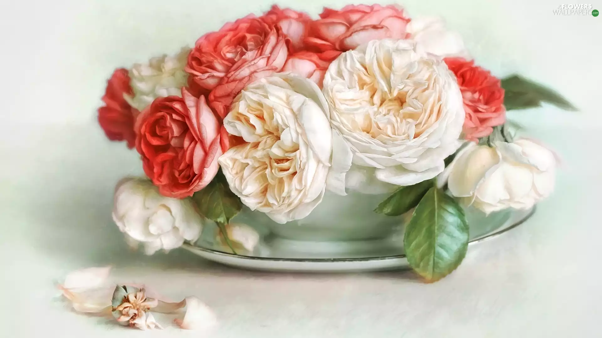 roses, White, Stand, graphics, bowl, Red