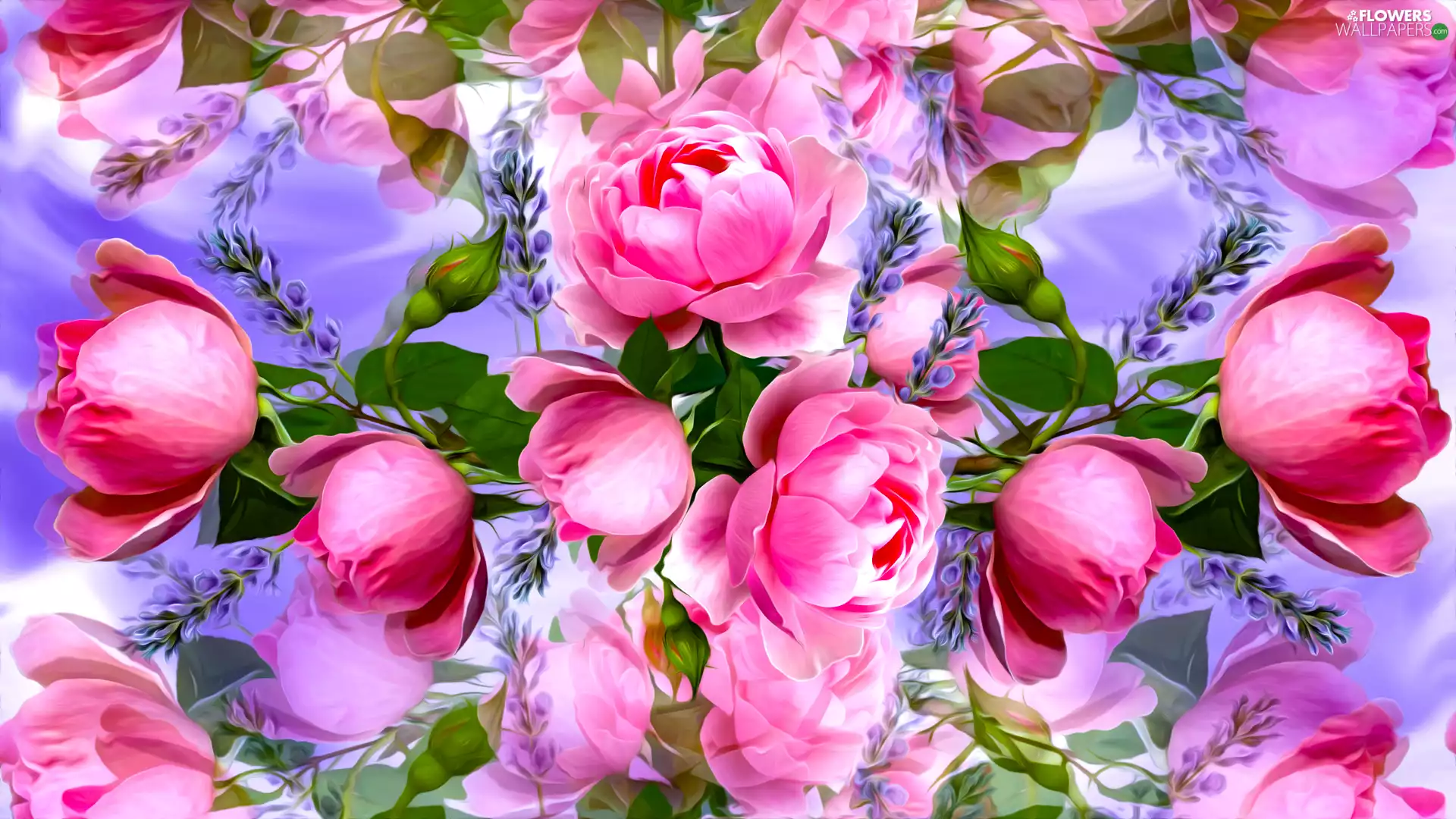background, graphics, roses, fuzzy, Flowers