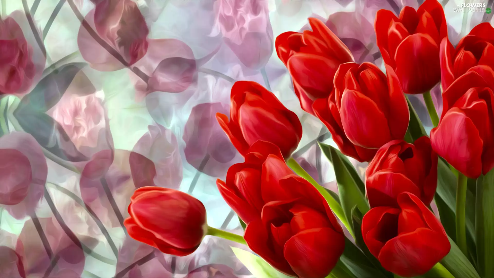 graphics, Tulips