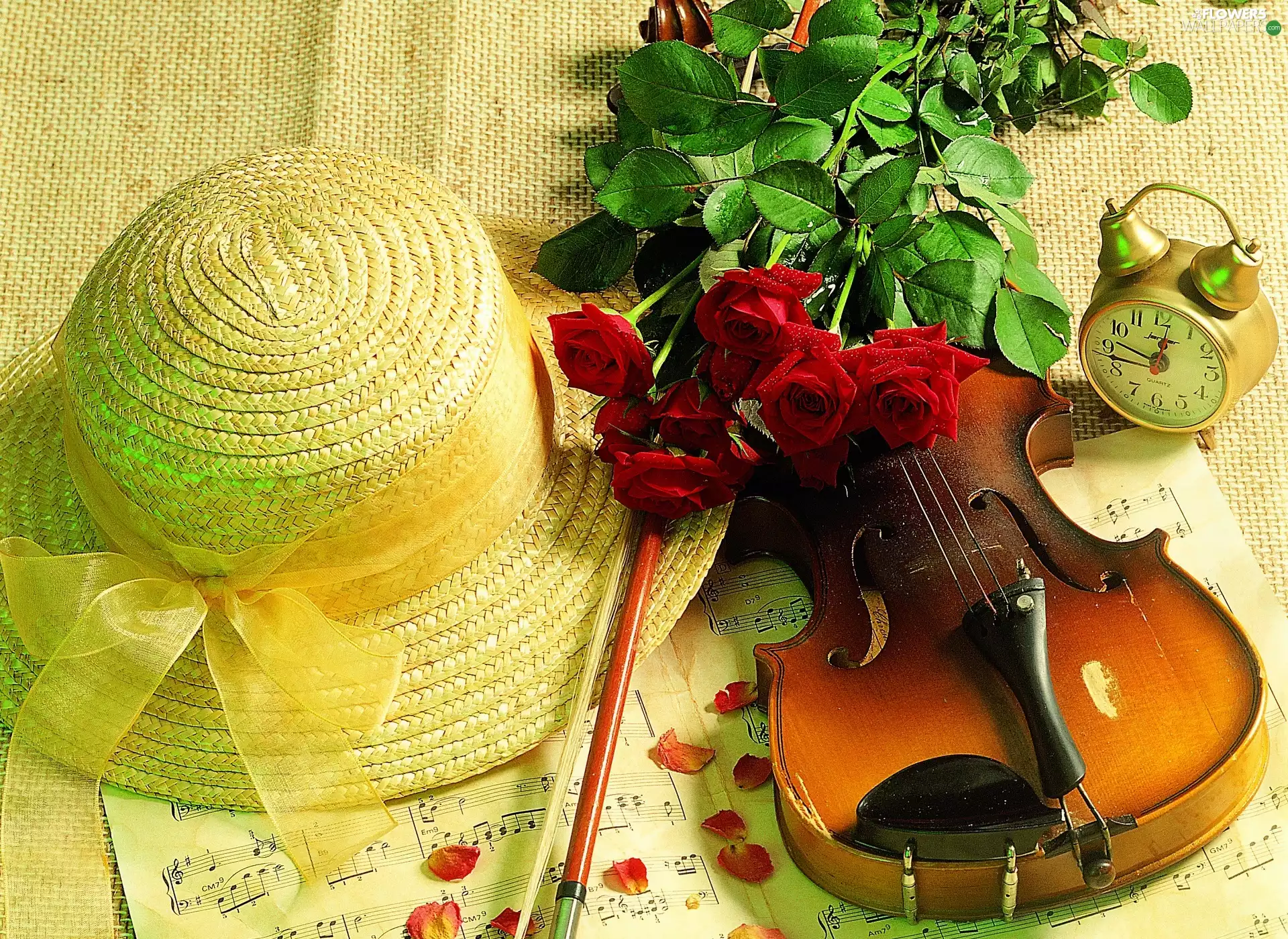 Hat, alarm clock, roses, violin, Red