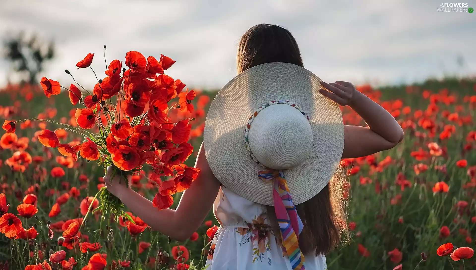 girl, Flowers, papavers, Hat