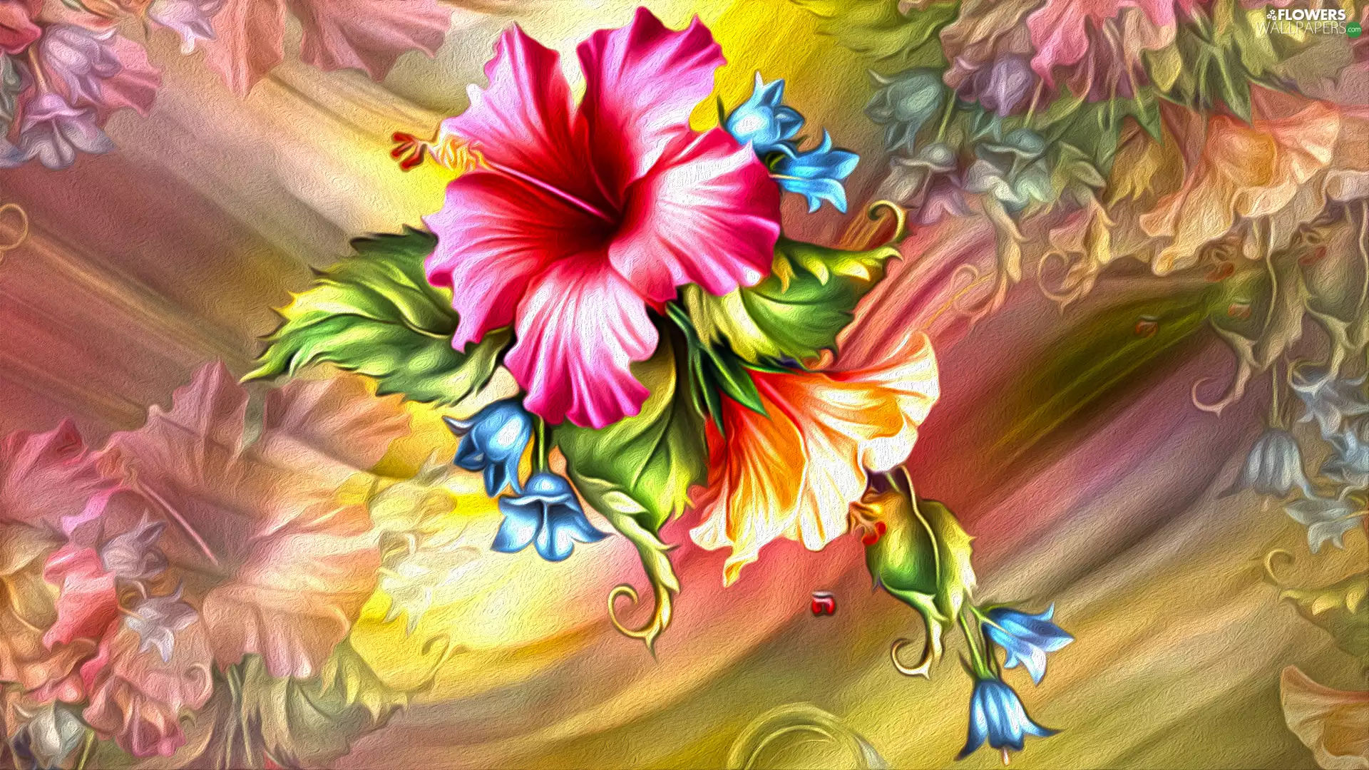 graphics, Colourfull Flowers, hibiskus