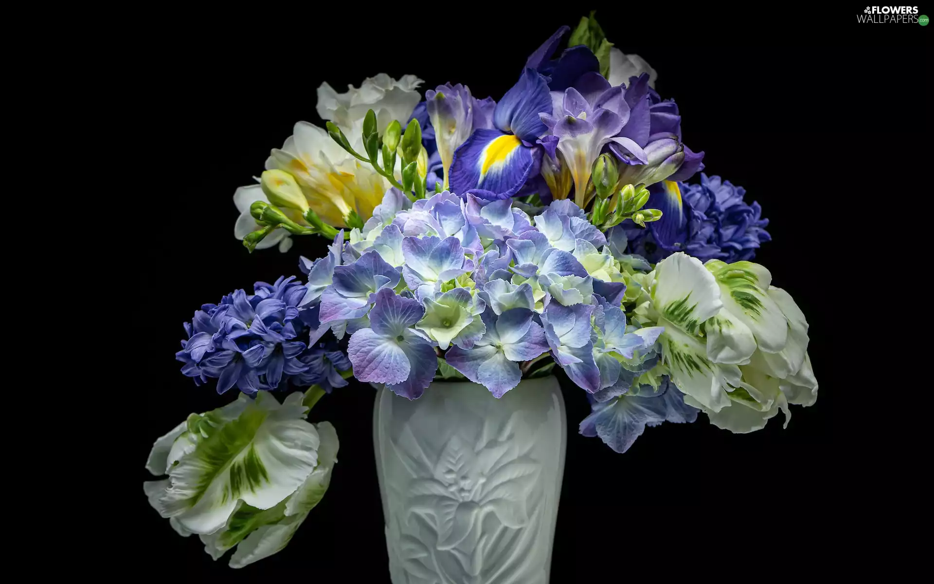 hydrangea, freesia, Vase, Tulips, hyacinth, flowers, bouquet, iris