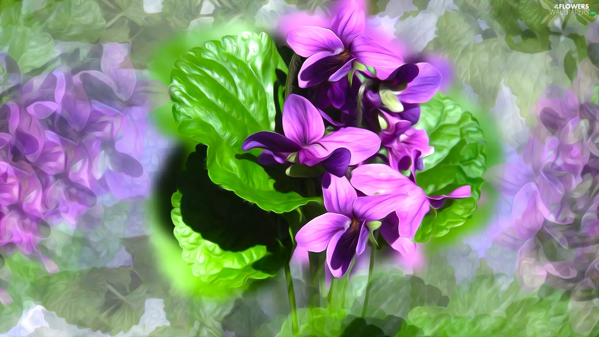 Flowers, leaves, graphics, fragrant violets