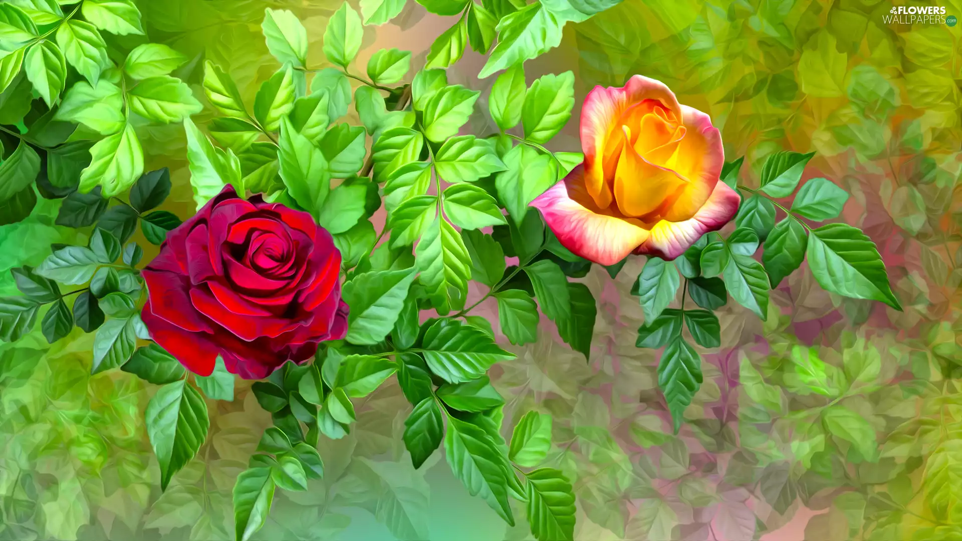leaves, graphics, roses