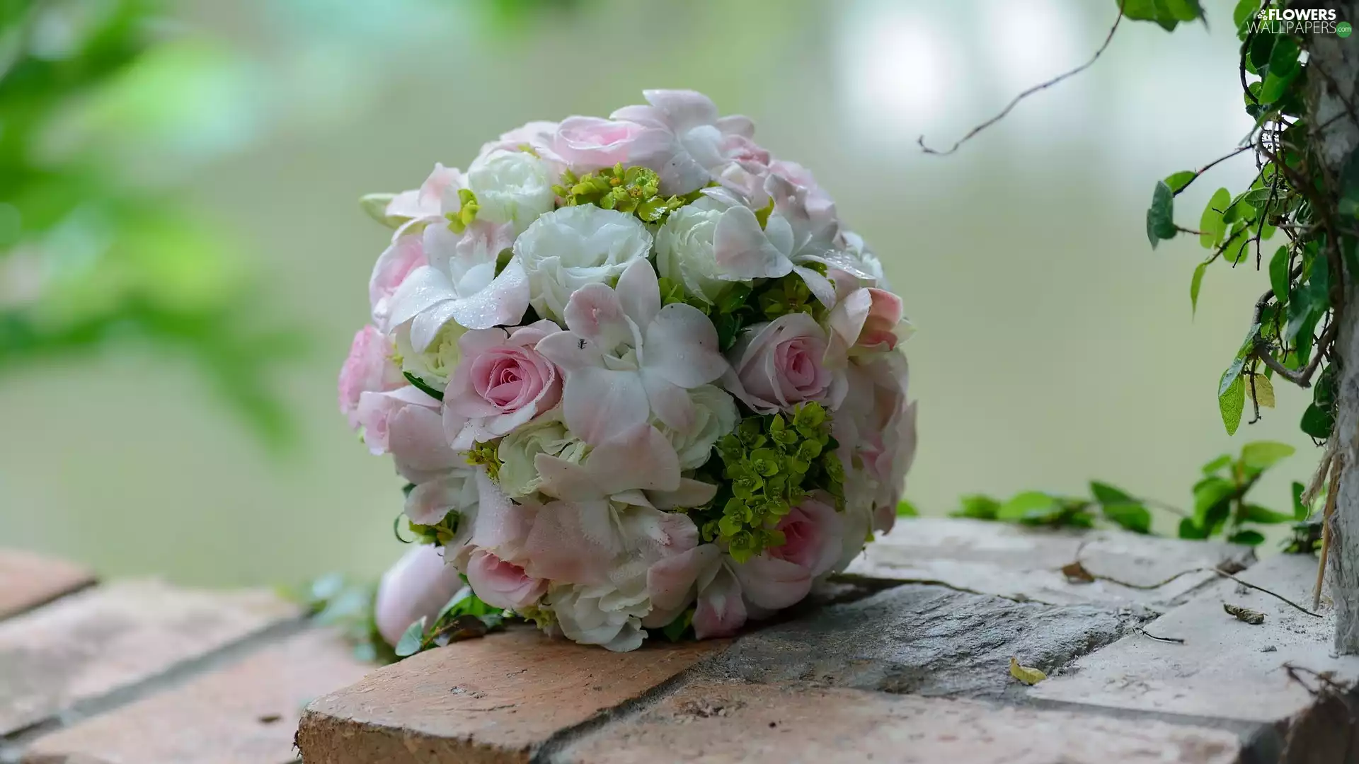 wedded, Flowers, roses, ledge, Orb, bouquet