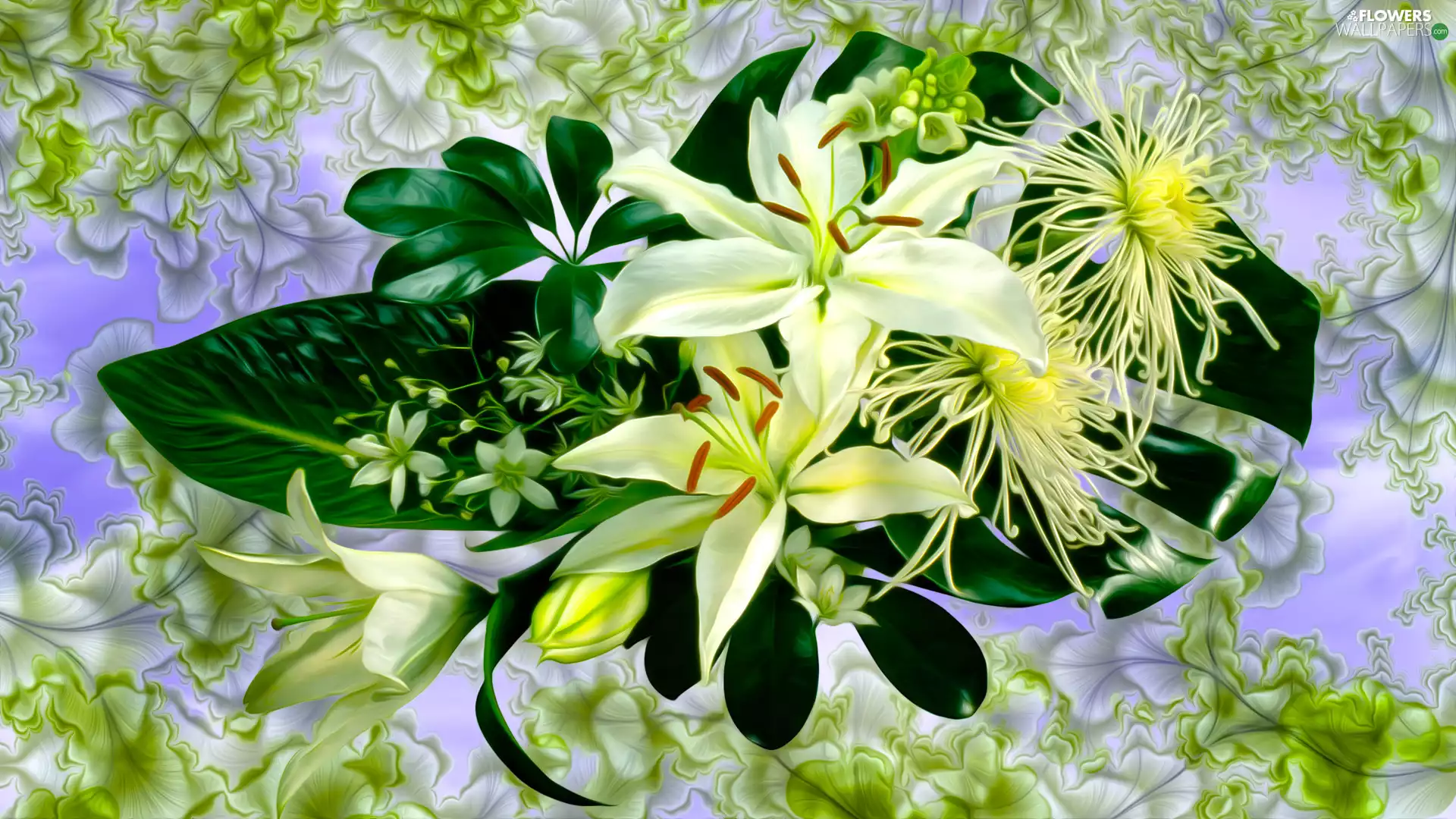 Flowers, Leaf, graphics, Lily